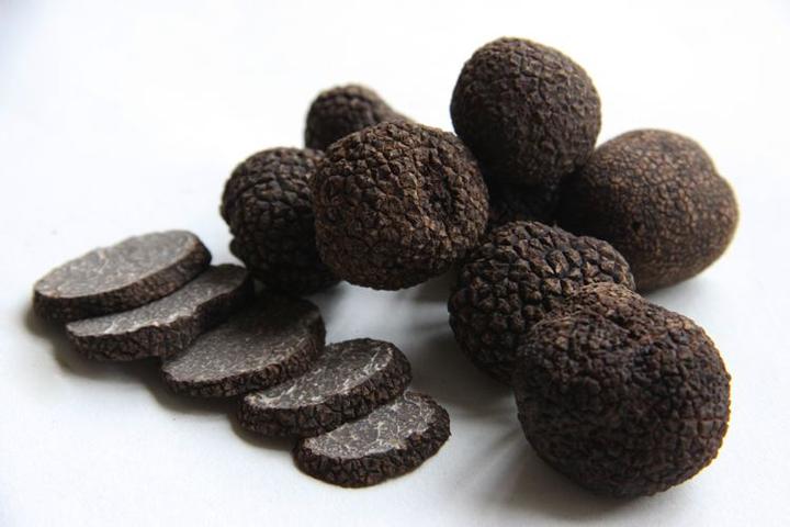 "餐桌上的钻石"~ 松露 the diamond of table ~ truffles(之十四)