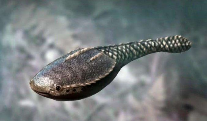 从生物学角度分析:半人马是否可行? 9 v2 3d420c71304630e8a367deecb30dddf2 720w