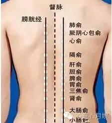 按摩膀胱经(后背)原来有这么多好处啊！！！ - 知乎