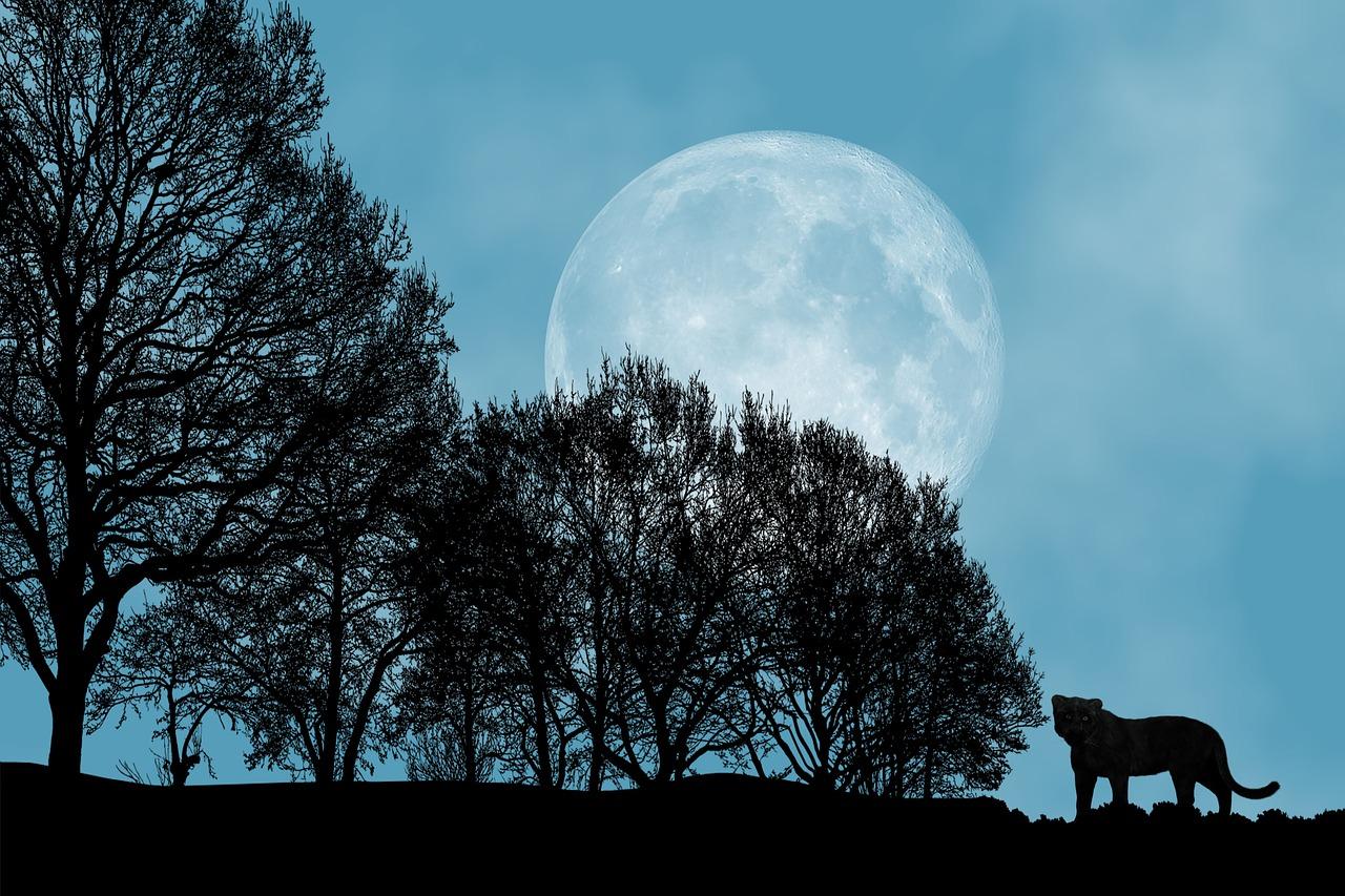 4. 老客户邀请宴