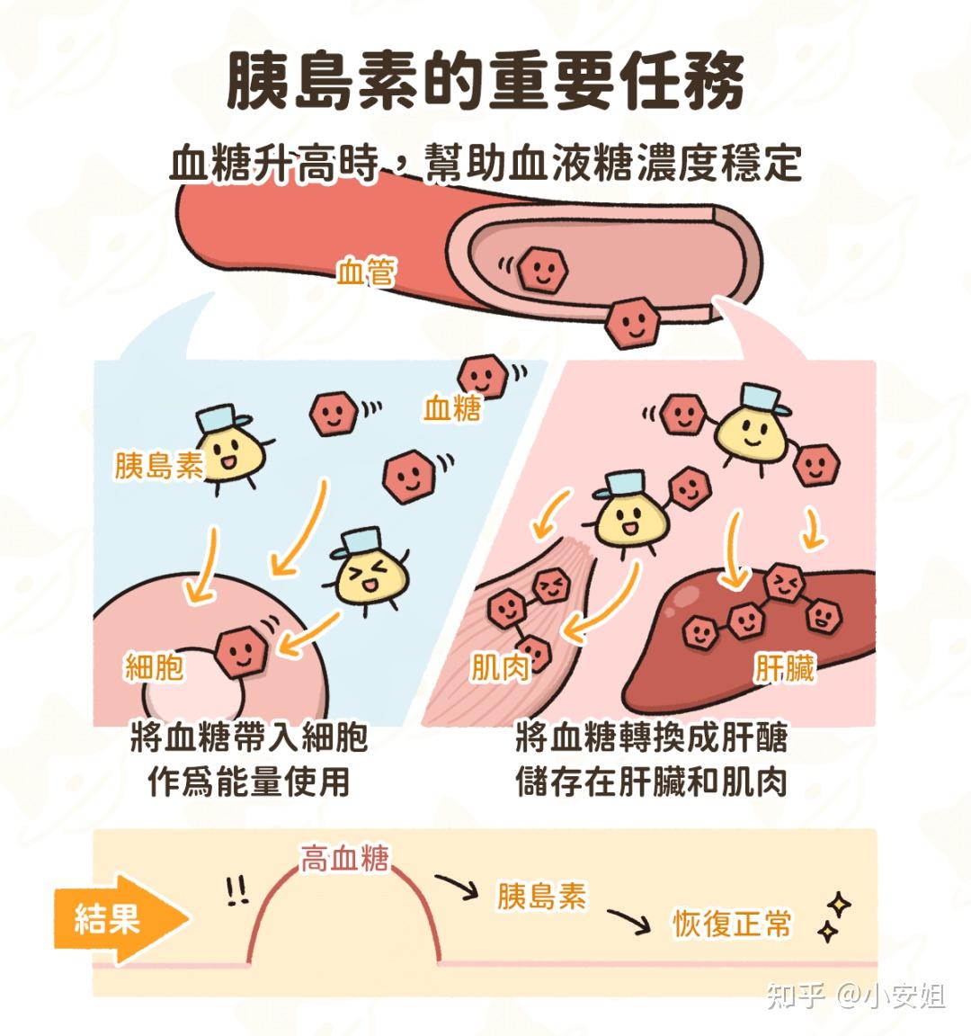 根据疾病的病因不同,主要分为四种类型:(素材源于网络)i型糖尿病:主要