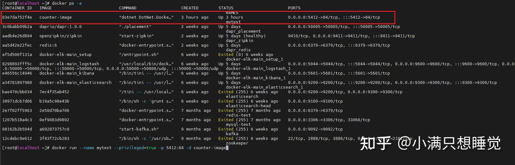 Docker netcore dump 