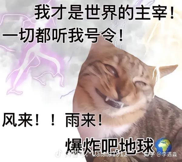 发疯文学为什么这么受年轻人的追捧? - 知乎