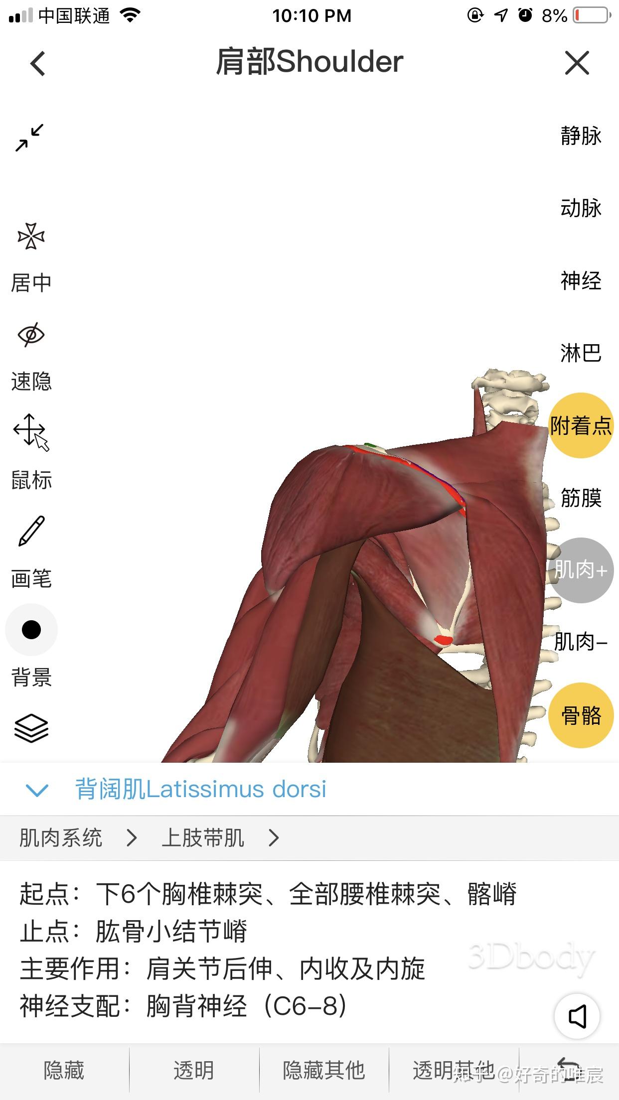 肩關節運動需求### 內收 內旋:我的理解是 有根本點在於肩胛骨脊柱緣