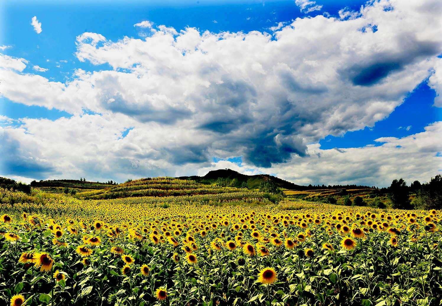 内蒙古竟然有这种地方被称为塞上江南草原水城