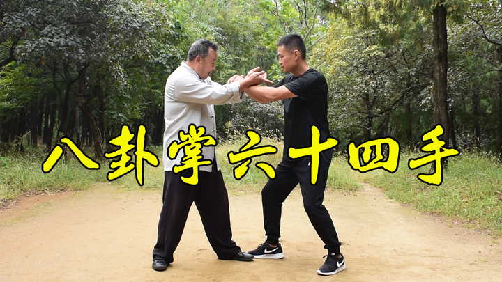 一代宗师中八卦掌64手失传了吗神秘招式再次重现