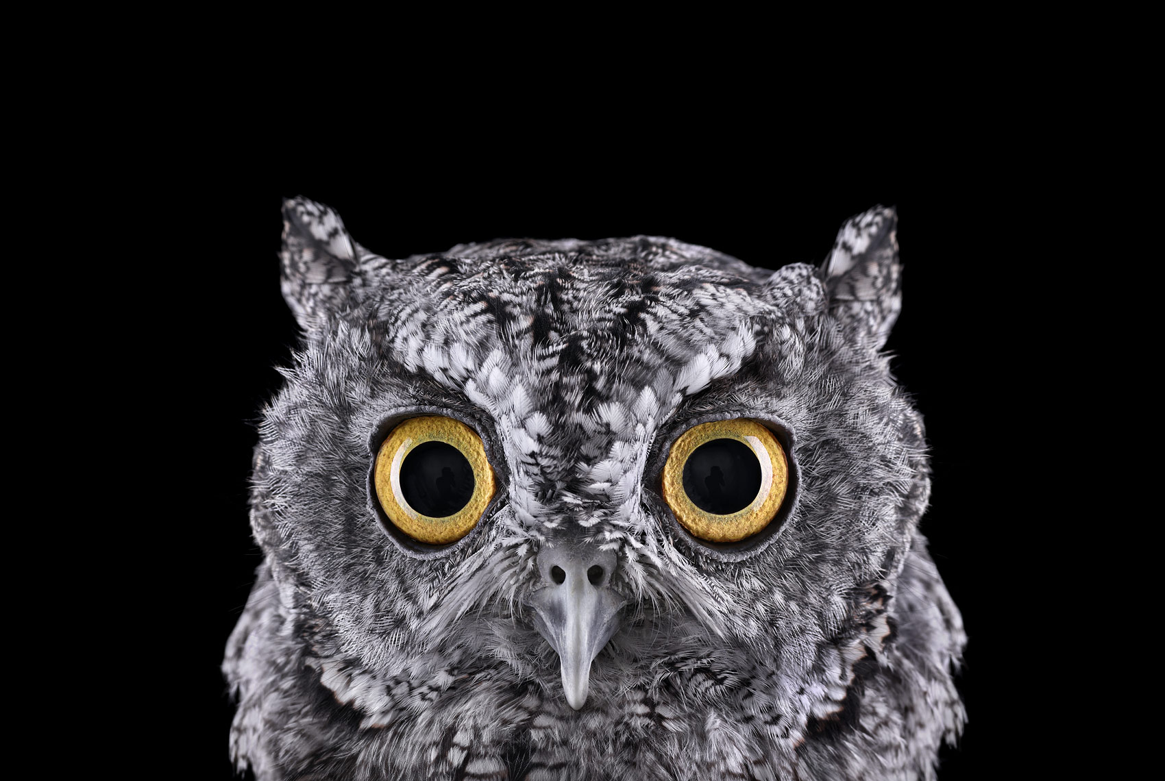 小米11ultra的背屏有什么好玩的图片求分享