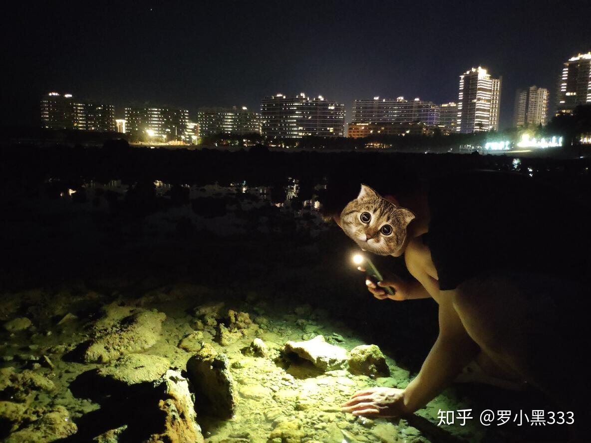 海口:day_29:湛江西—>海口(z385,11:12—16:00,票价68.