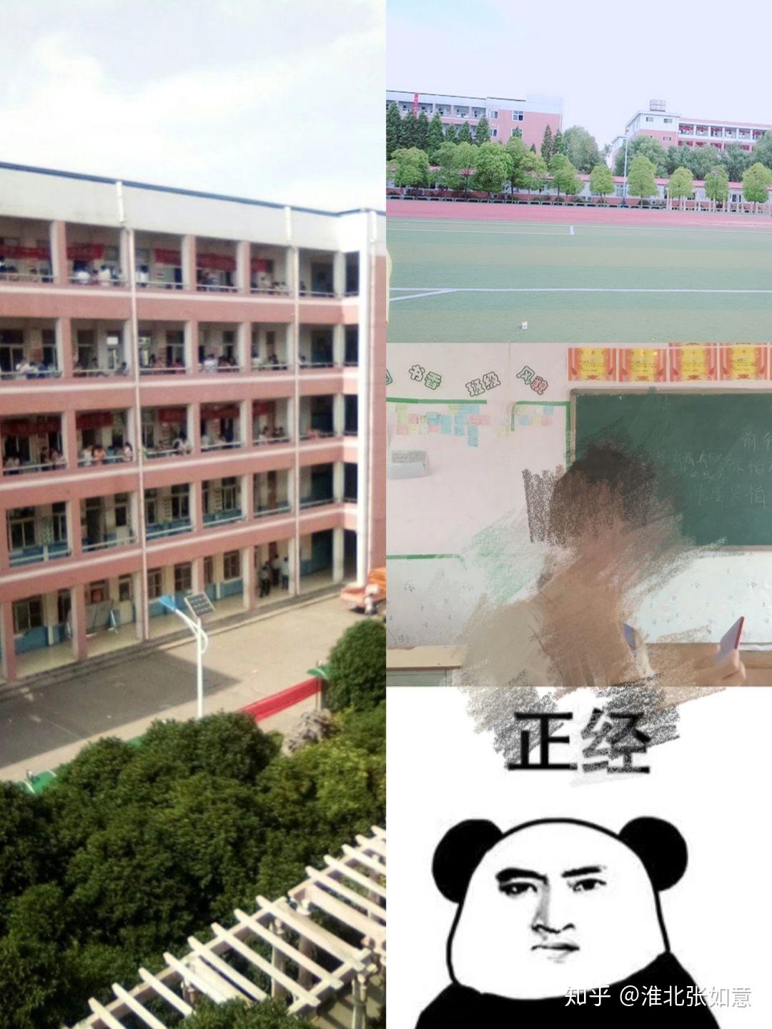 淮北龙华学校全校图片