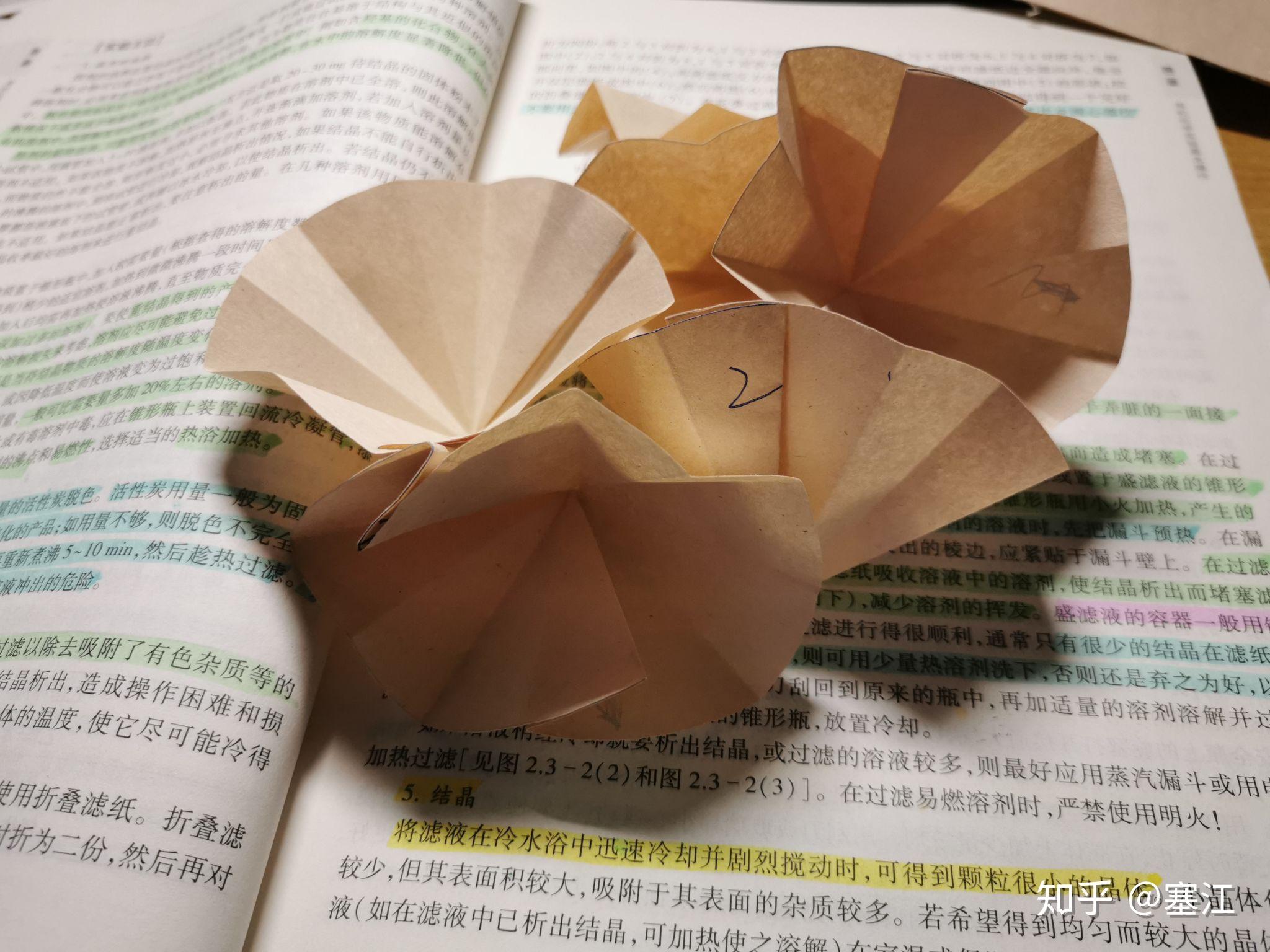 菊花滤纸折叠图片