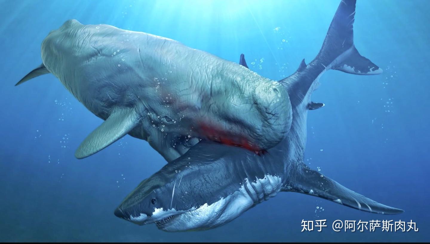 番外丨The Elegy of Waves “波涛挽歌” - 知乎