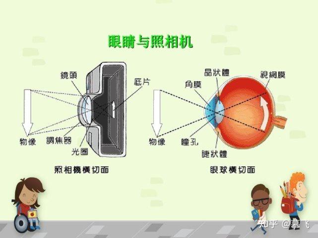 激光類近視手術到底是在眼球哪部分動工?