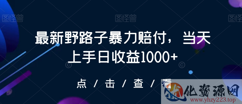 最新野路子暴力赔付，当天上手日收益1000+【仅揭秘】