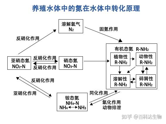 什么是氨氮?水产养殖氨氮产生、超标危害及检测控制! - 知乎