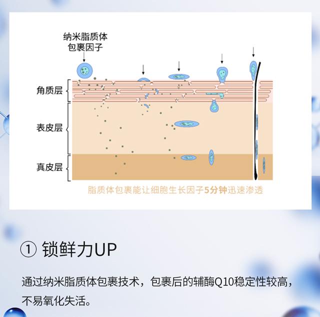 什么是辅酶q10脂质体包裹技术