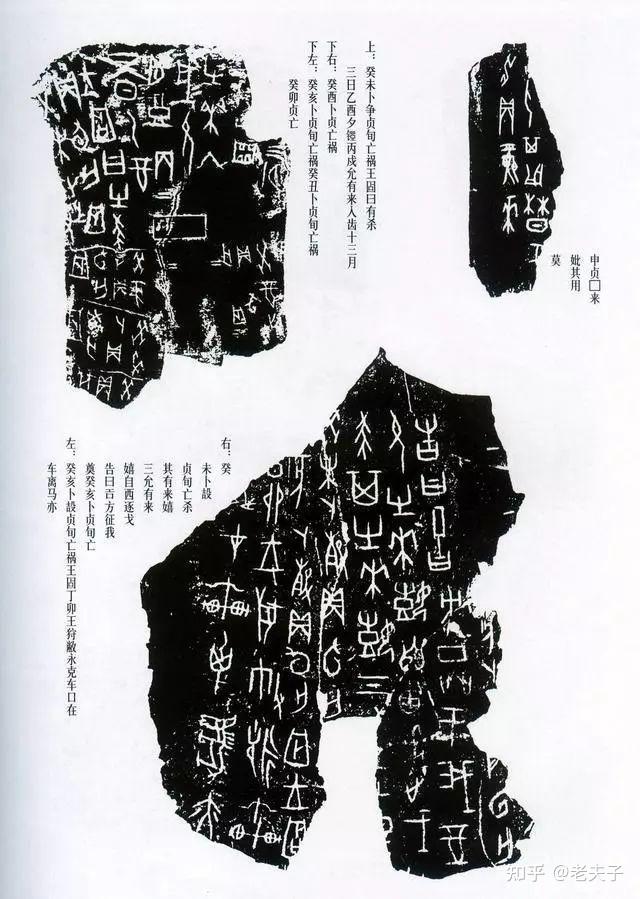 毁誉参半的中国古代龟崇拜及龟文化 - 知乎