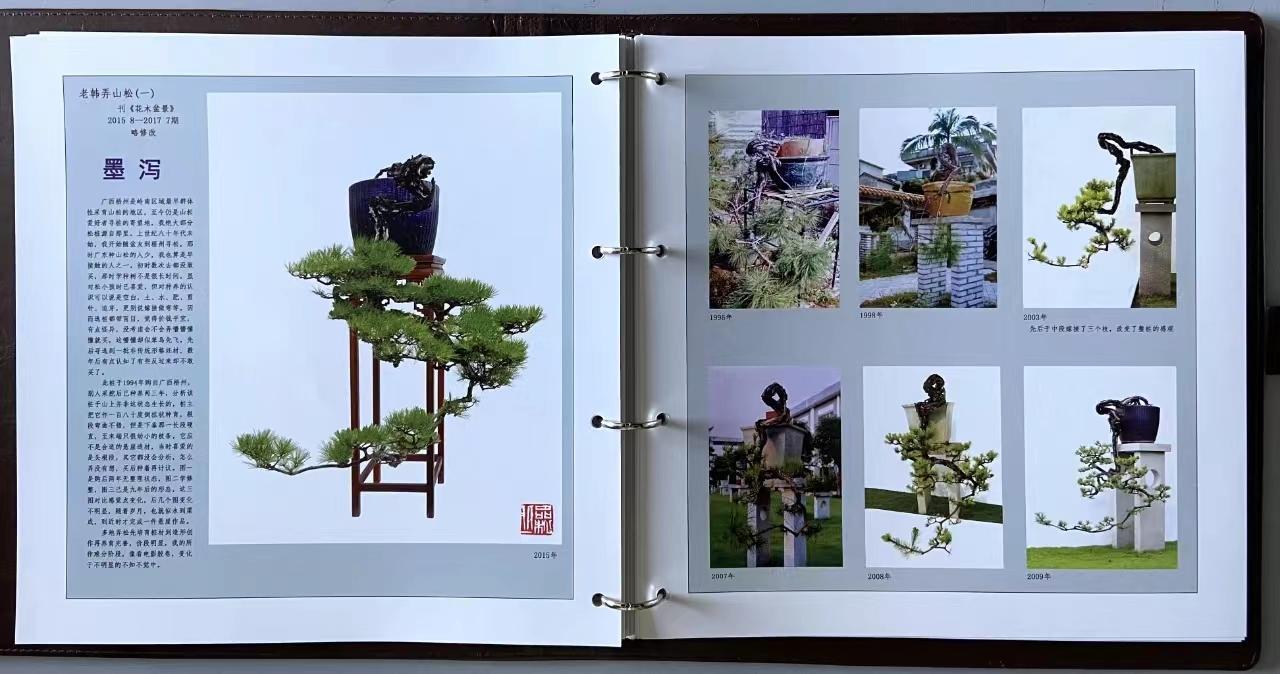 盆栽行业市场分析