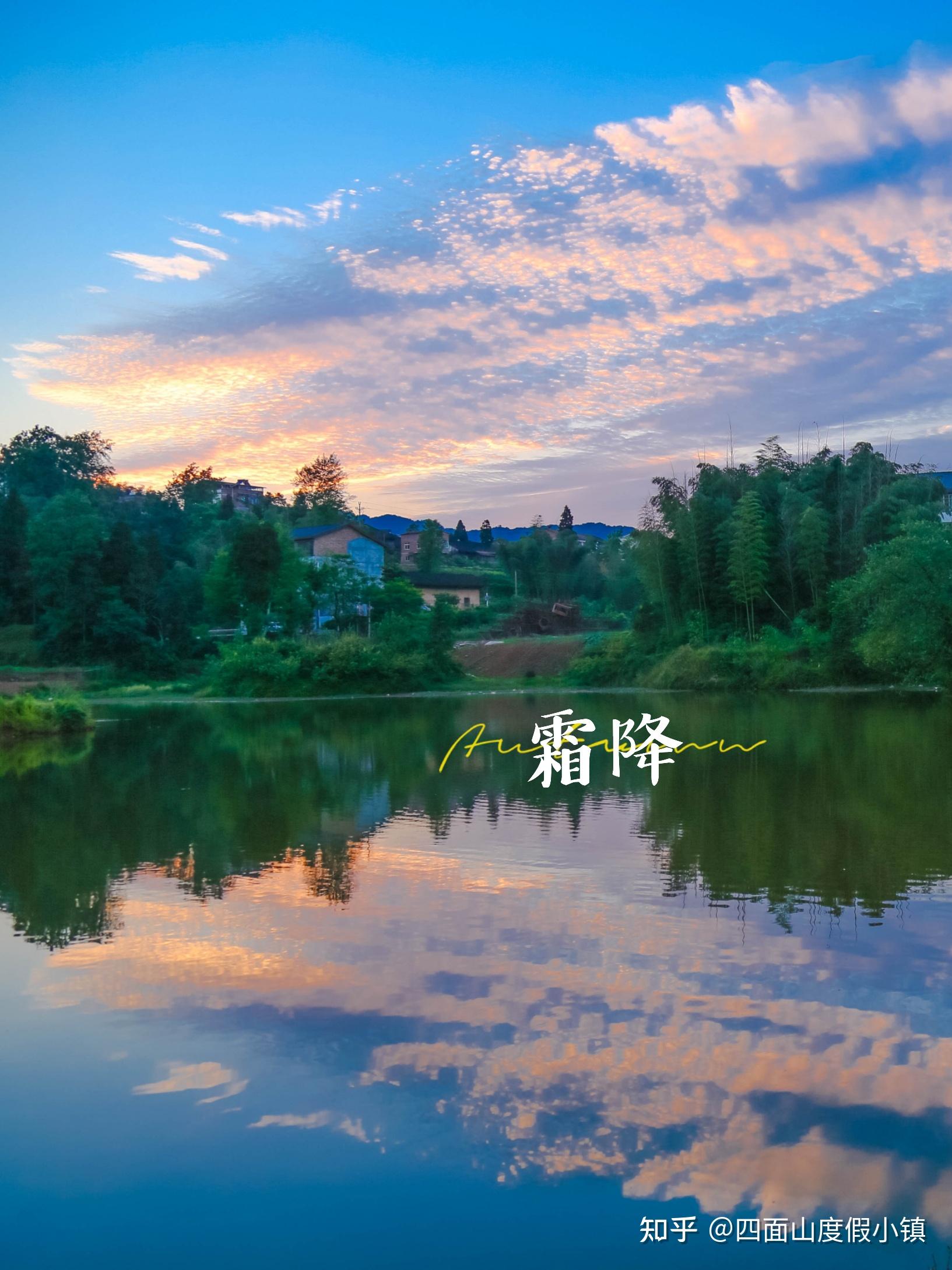 霜降时节在山野农场兔子在最美的季节如约而至