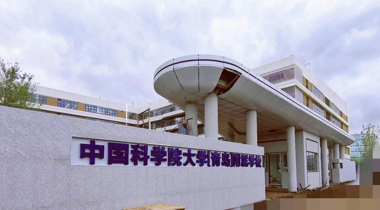 洋大人牛逼青岛牛逼