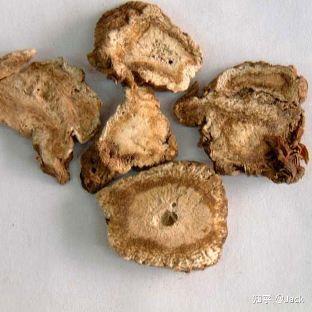 独活的化学成分介绍