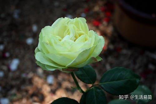 v2-3db82d242e63a9c3c5dc076c8af85aa0_r.jpg