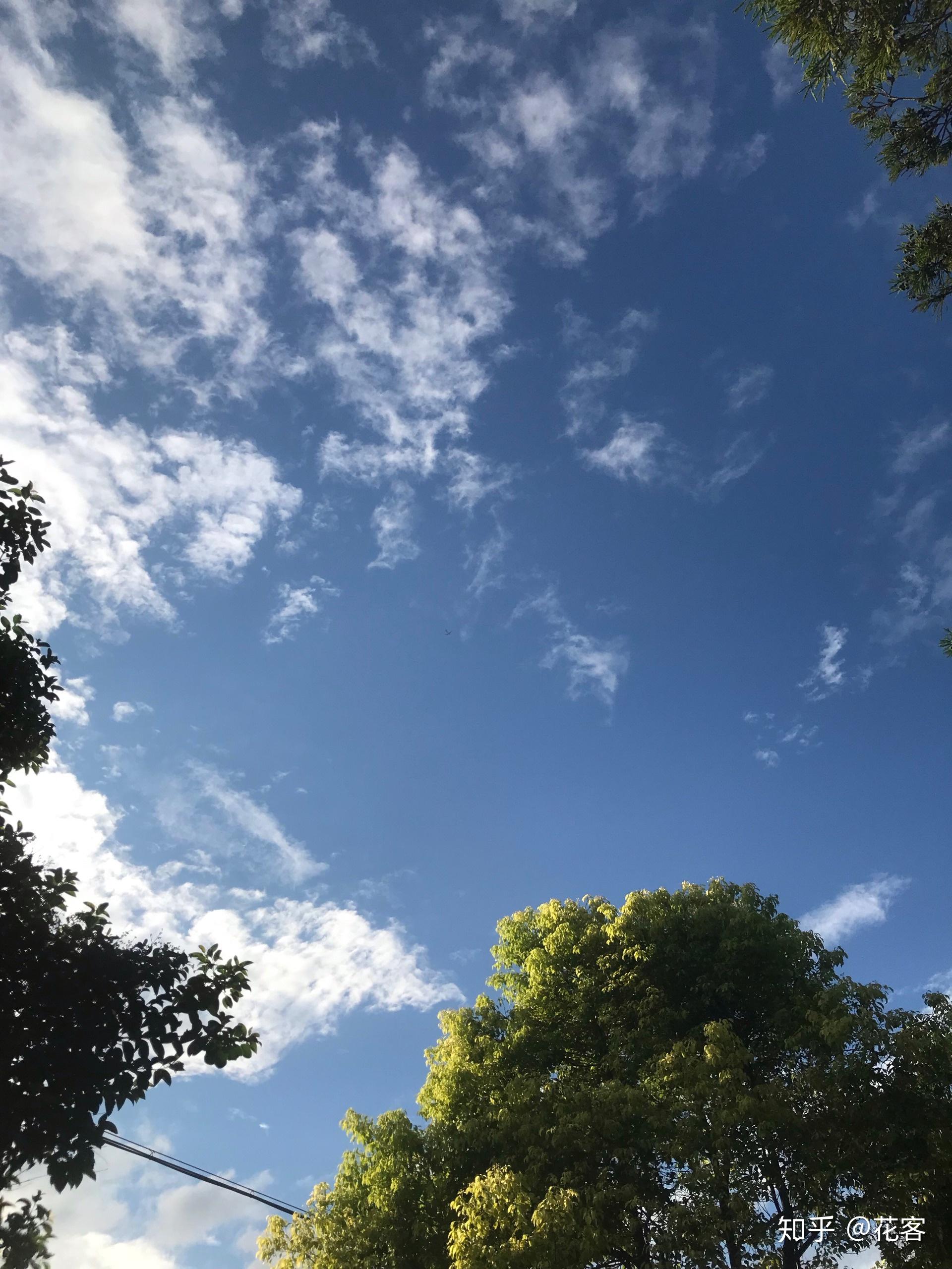 阳光正好,微风吹拂