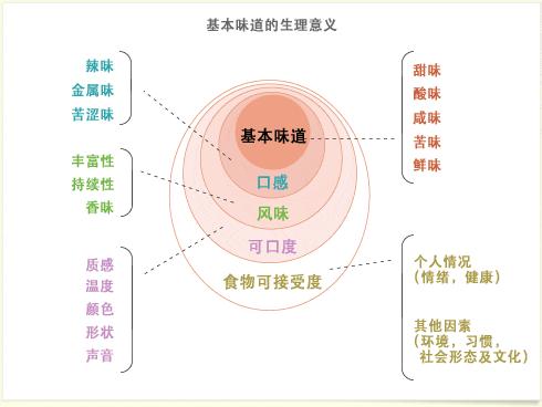 酸甜苦辣味蕾分布图图片