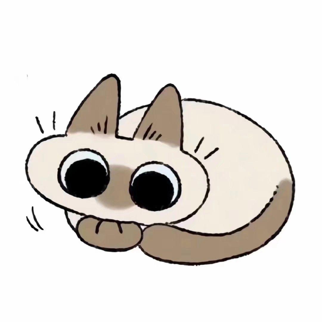 你们有这个暹罗猫的表情包么