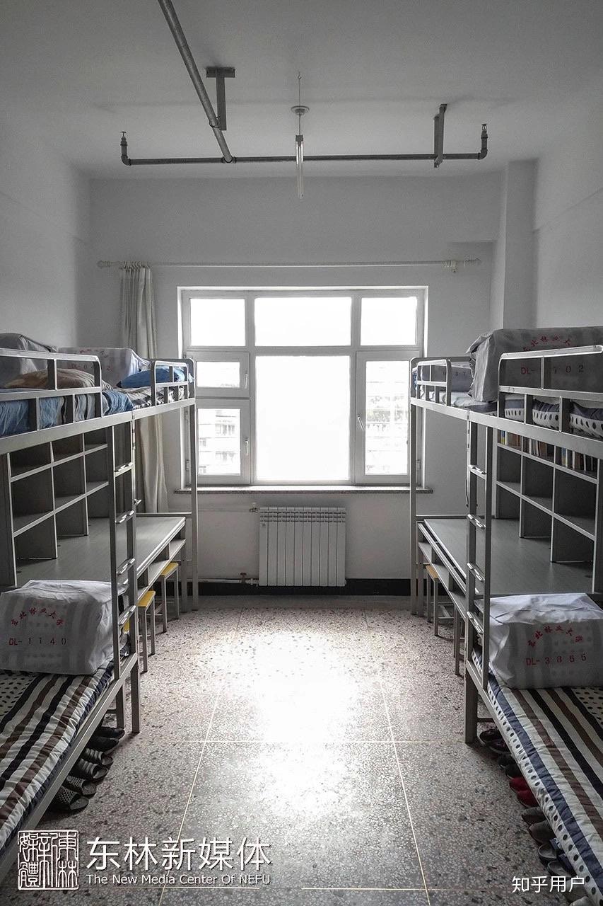 东北林业大学的宿舍条件如何?校区内有哪些生活设施? - 知乎