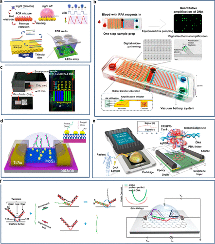 美国正式退出《巴黎协定》不再履行协定要求的减排目标