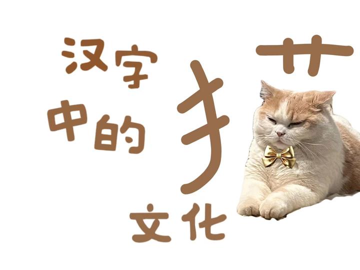 猫舞汉字间——汉字中的猫文化 - 知乎
