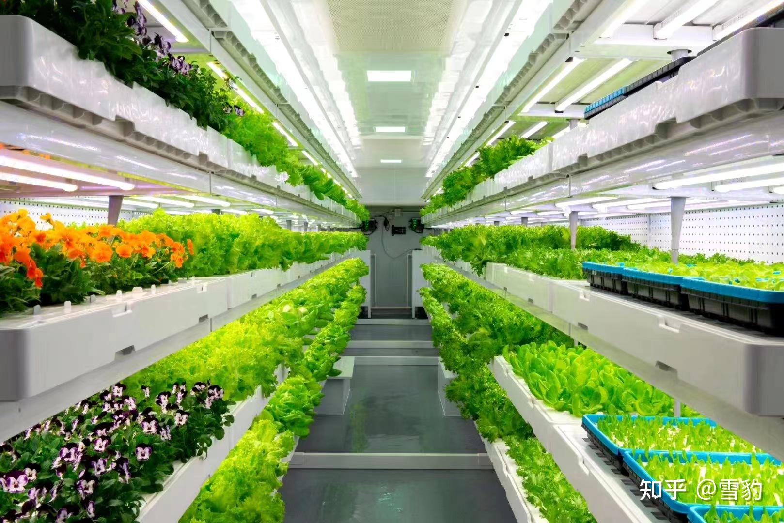 二,营养液的管理