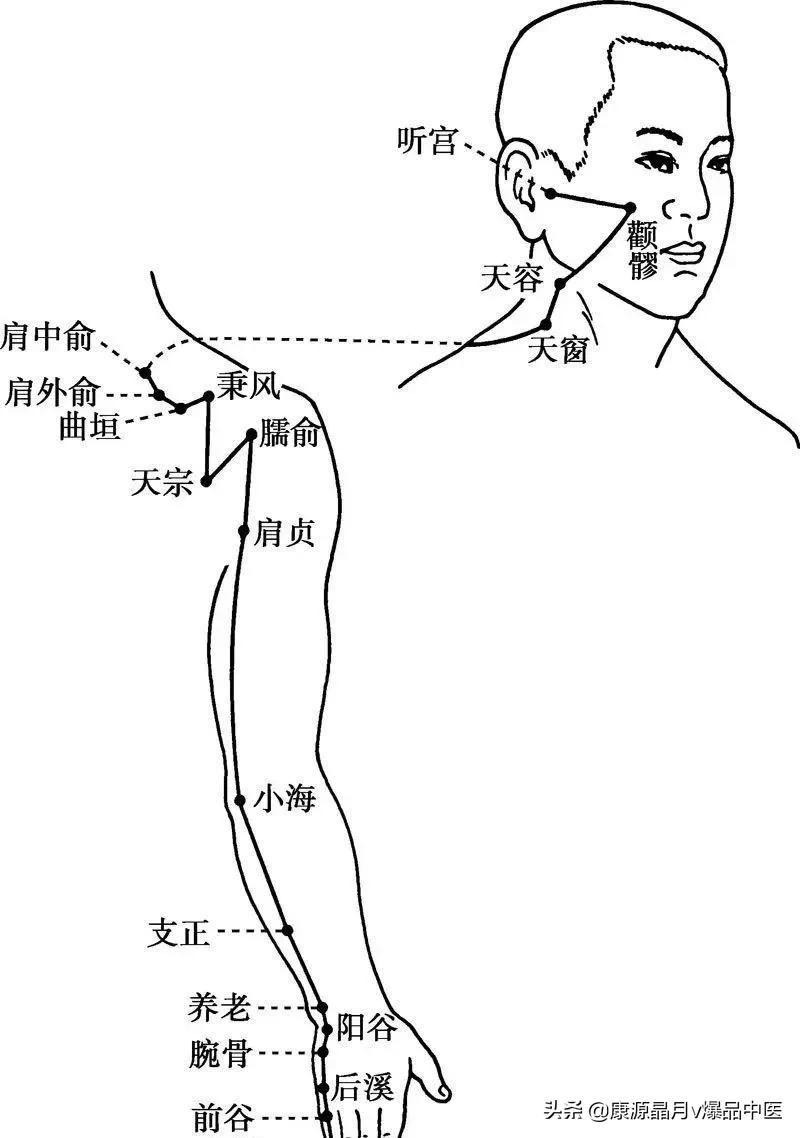 十四經脈背誦歌訣