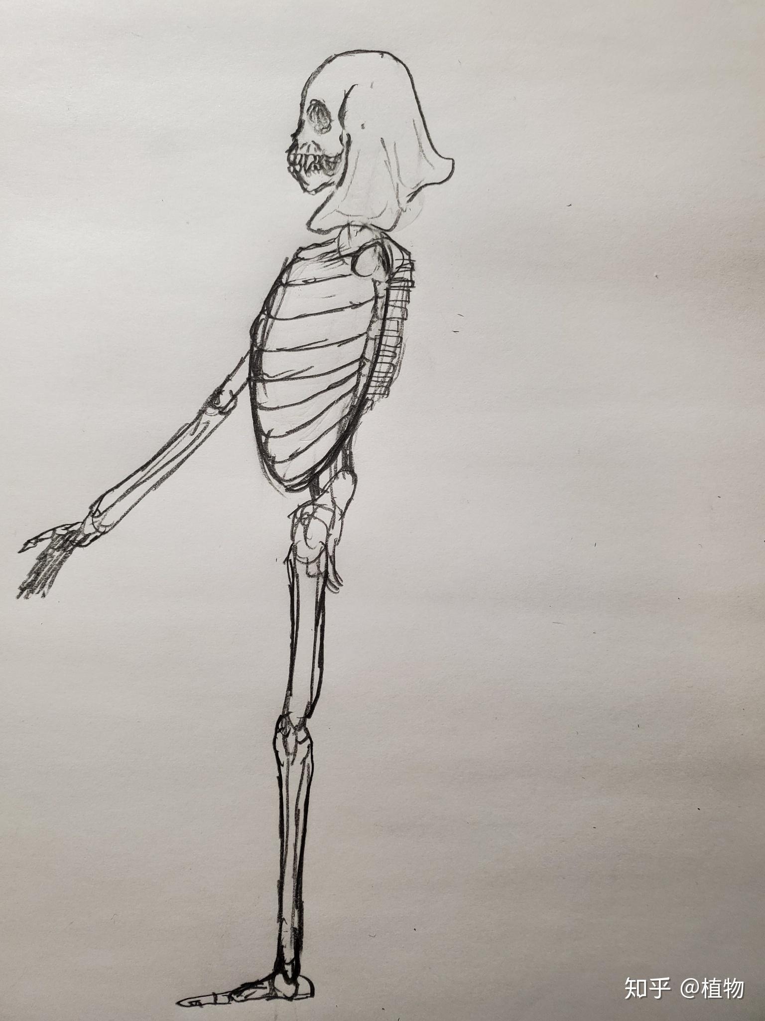 理想的人类战斗体型应该是怎样的