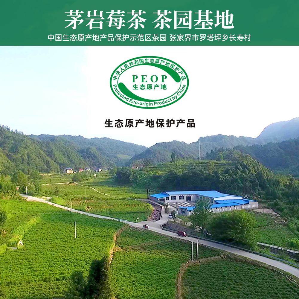 茅岩莓茶核心产区种植基地在哪里