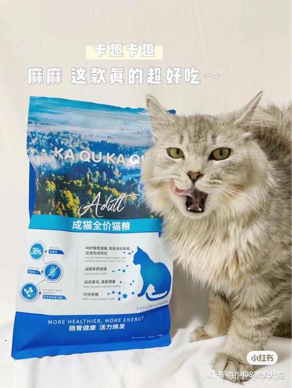 怎么样对付挑嘴猫 知乎