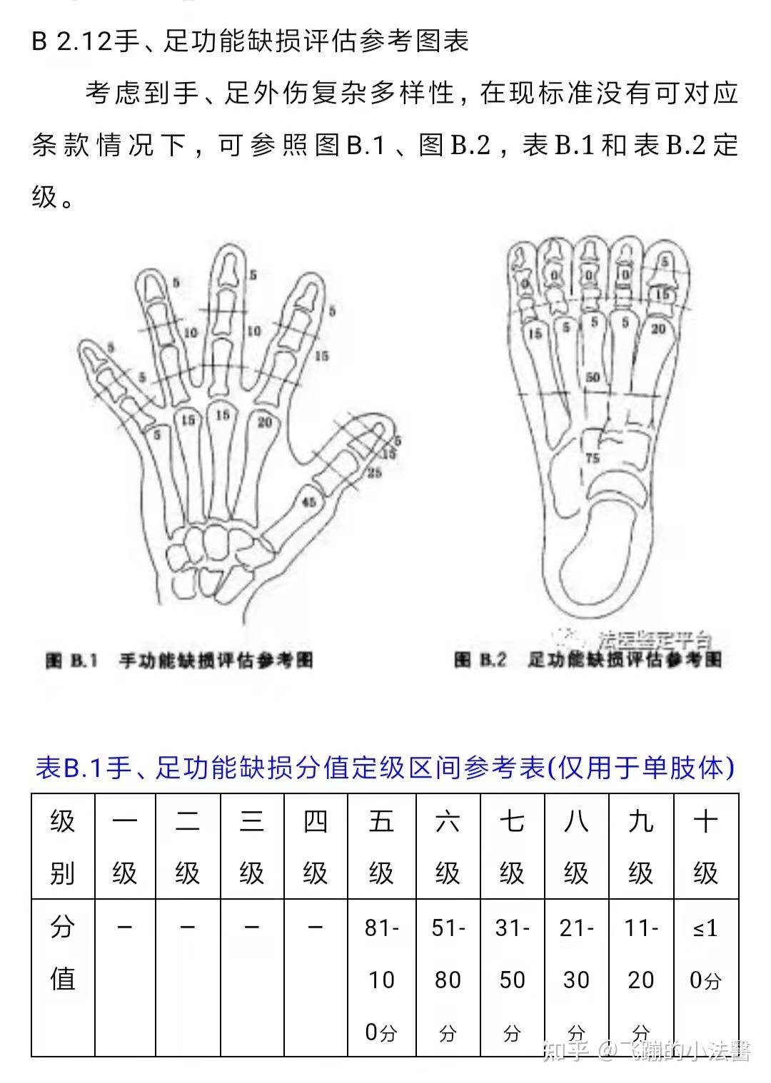 手指七级伤残鉴定图片图片