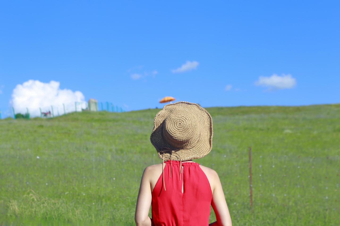 若尔盖夏季观花指南丨草原 花海 星空 和你 知乎