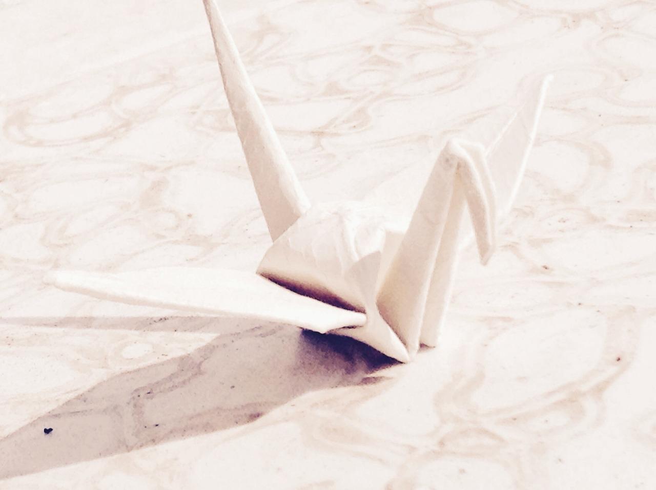 门折页什么牌子好