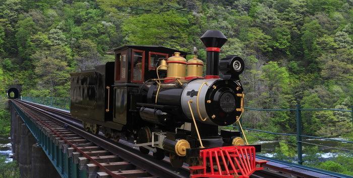 景区观光游览电动小火车