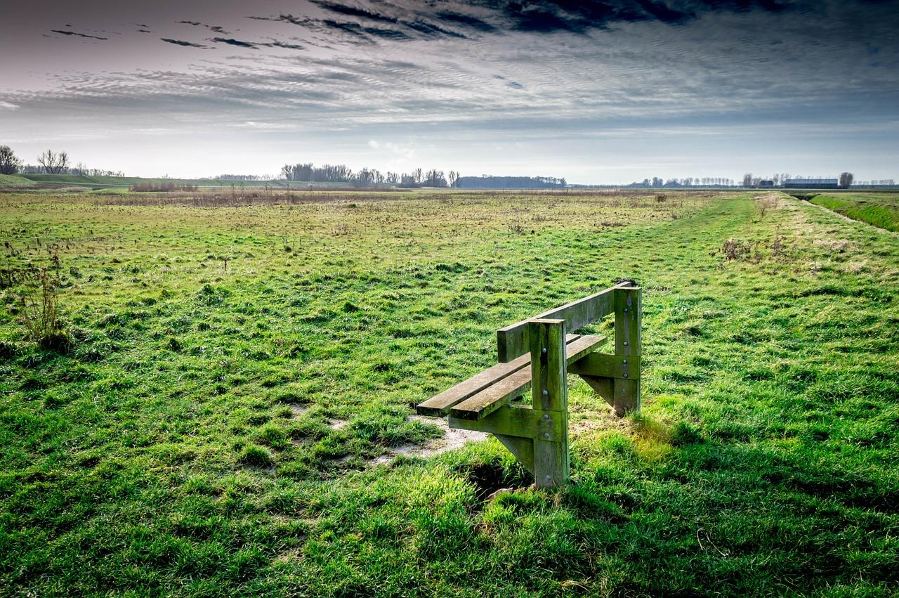 3. 扁担胡手串价位