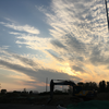 飘零久