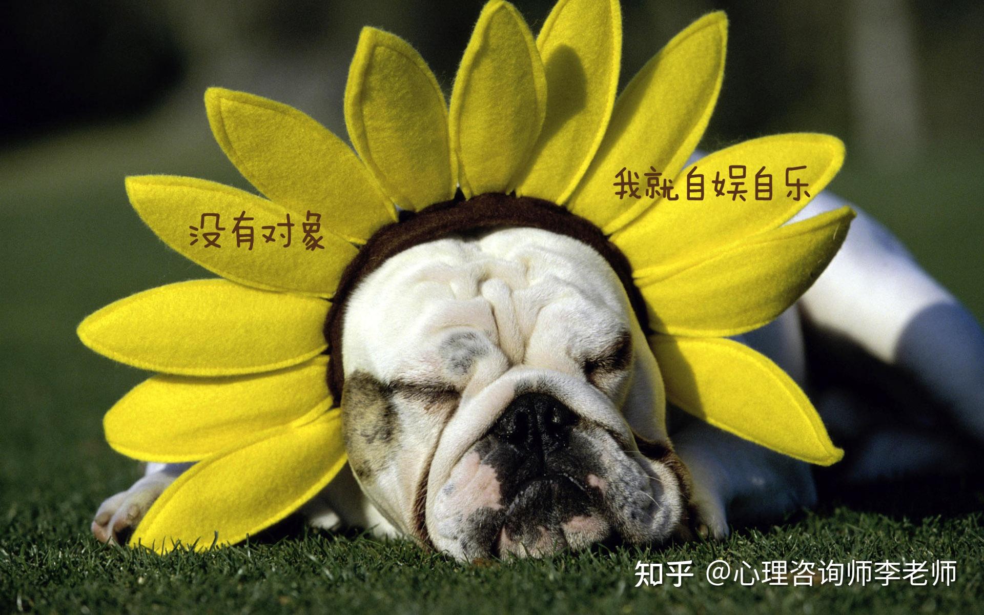 异性接触恐惧症听说过么特指喜欢的异性