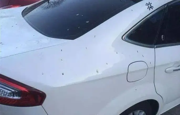 汽车漆面老化褪色怎么办 膜小二隐形车衣支招旧车焕新 知乎 汽车漆面老化褪色怎么办 膜小二隐形车衣支招旧车焕新 知乎