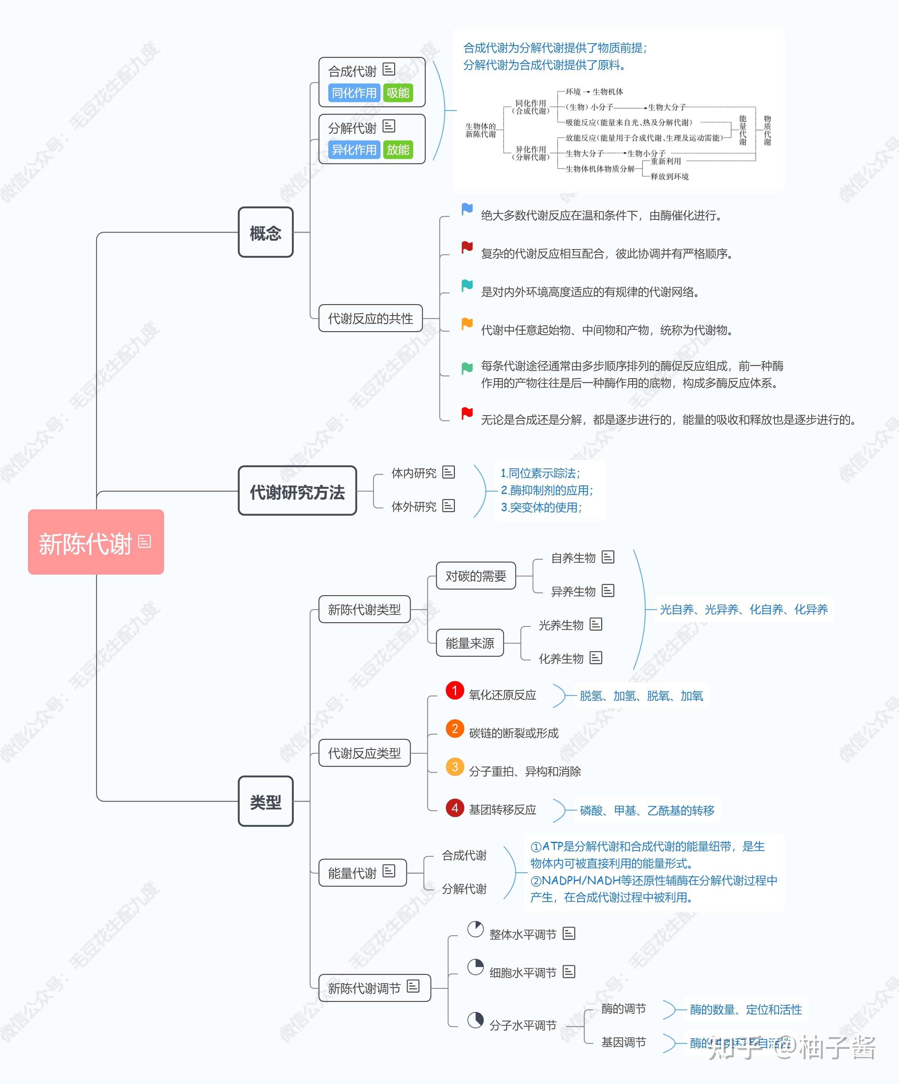 新陈代谢