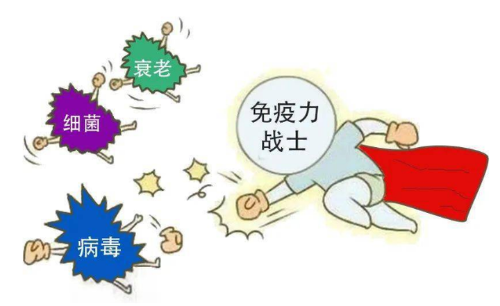 免疫力是什么? - 知乎