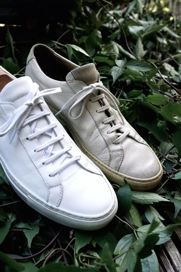 Common projects discount 知乎