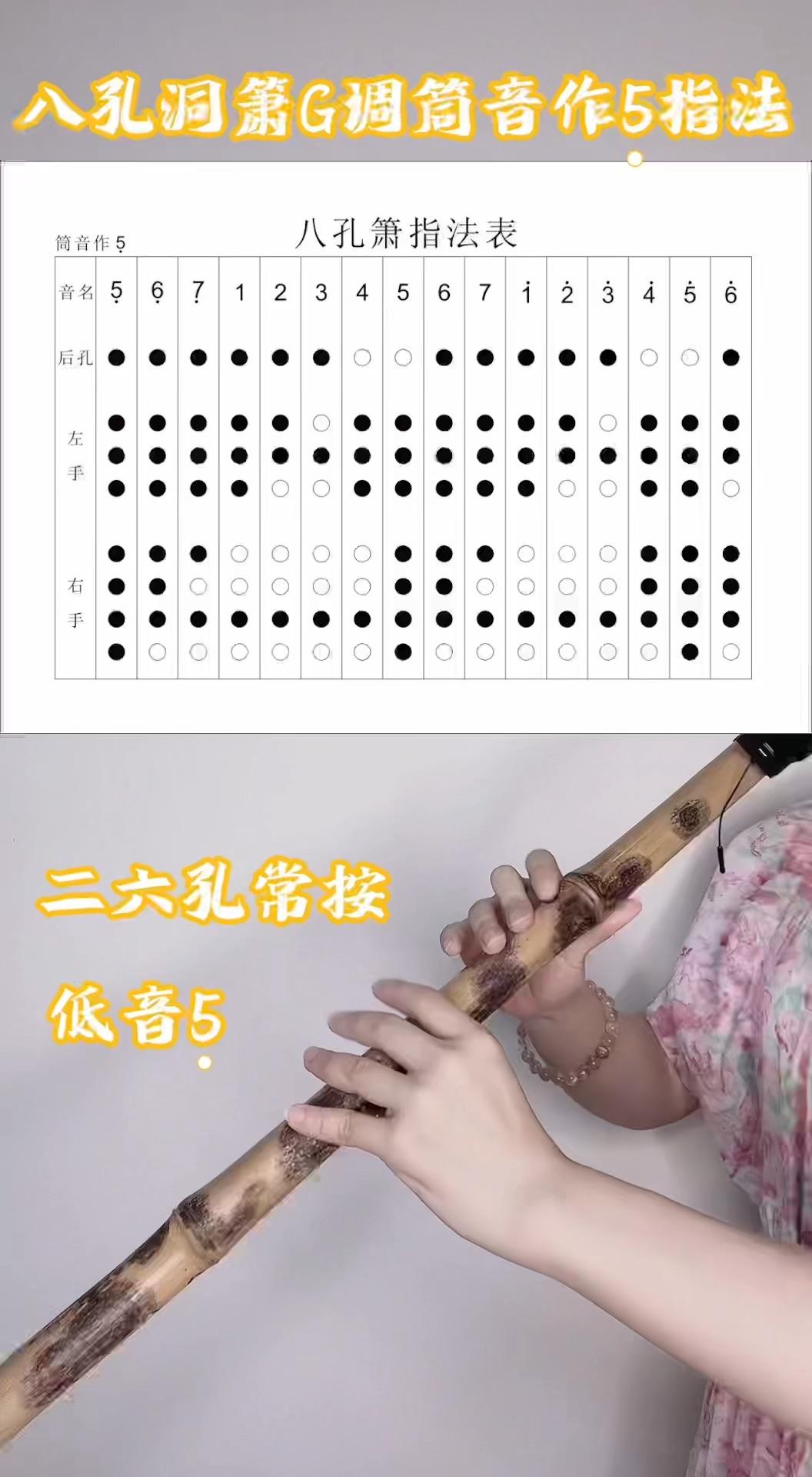 筒音作5的管子指法图图片