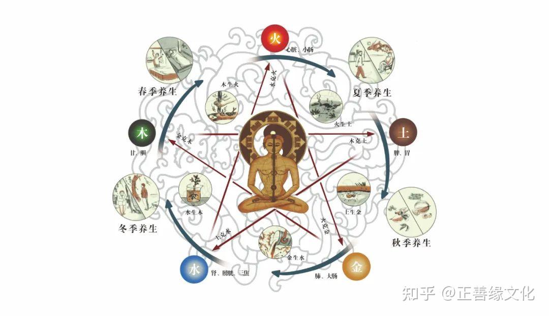 基础知识阴阳五行学说