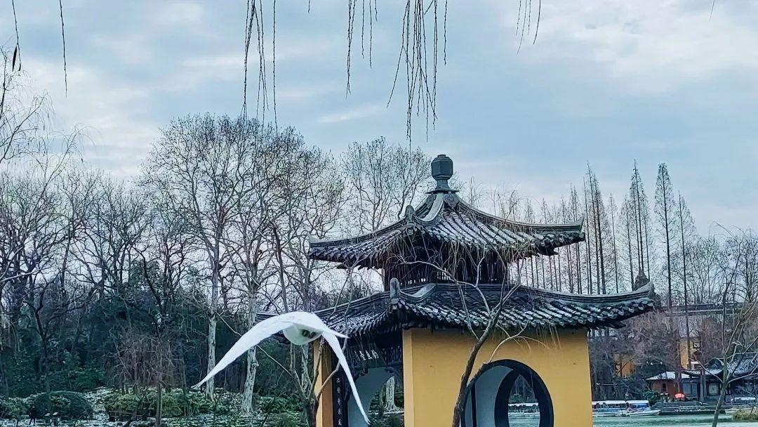 二分明月忆扬州|扬州散记